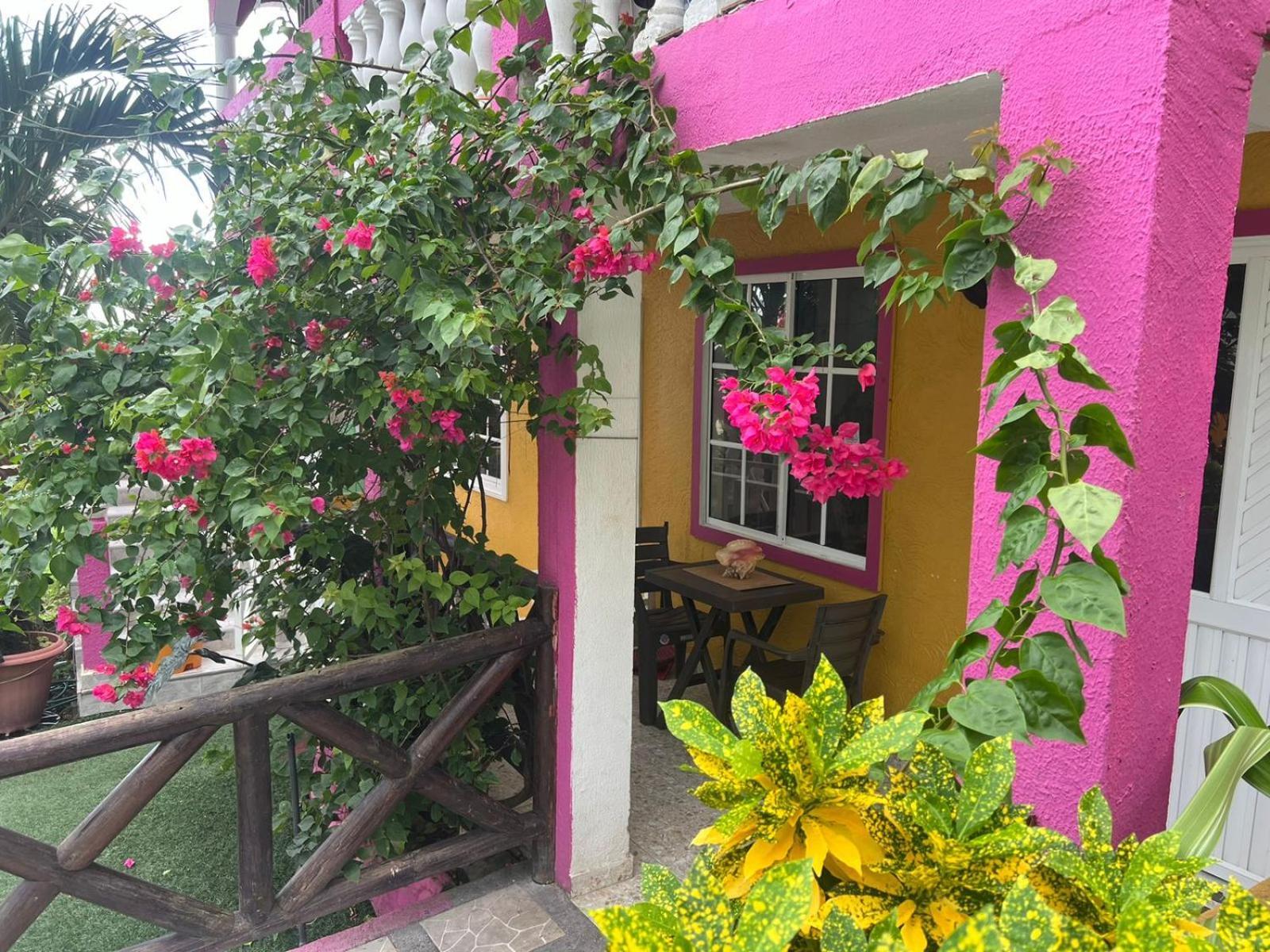 Posada Ashanty Rocky Point Exterior photo